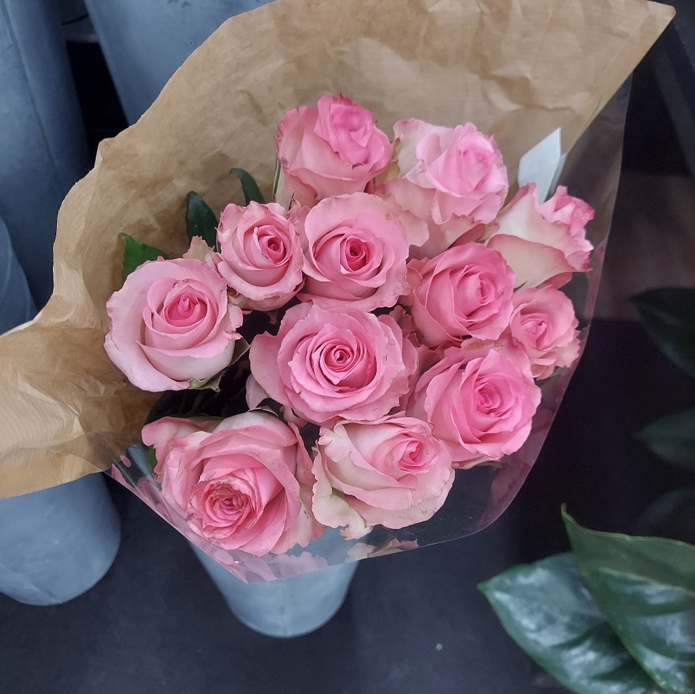 Meet your Posher, Lidia